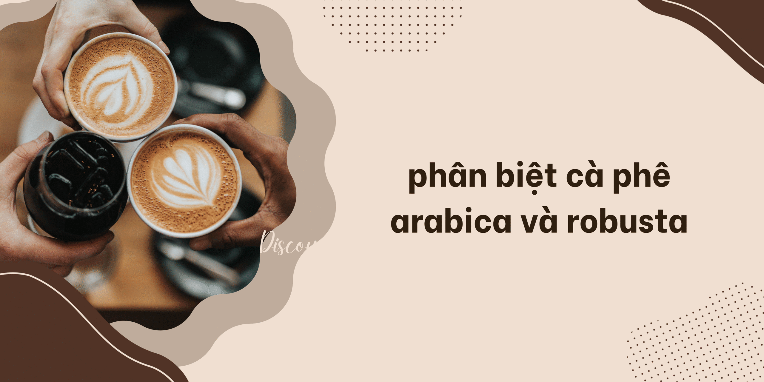 phân biệt cà phê Arabica và Robusta
