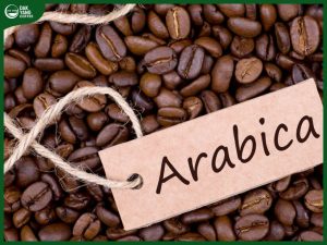 cà phê Arabica