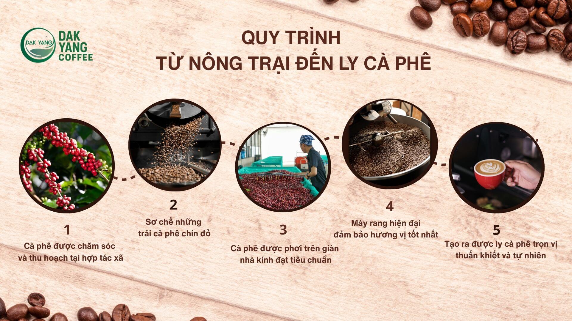 banner quy trình sản xuất cà phê Dak Yang (2)