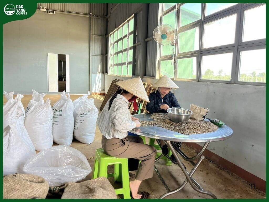 6 lợi ích làm đẹp từ cà phê