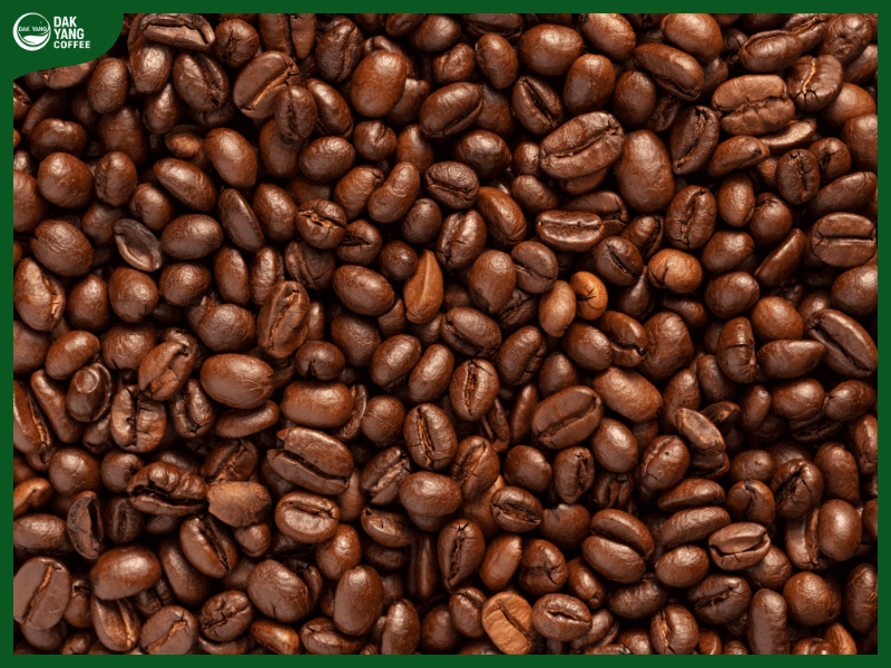 Các loại cà phê khác nhau sẽ có hương vị khác nhau - Dak Yang Coffee